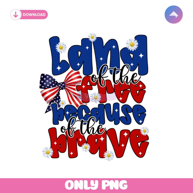 Patriotic Land Of The Free Coquette USA Bow PNG