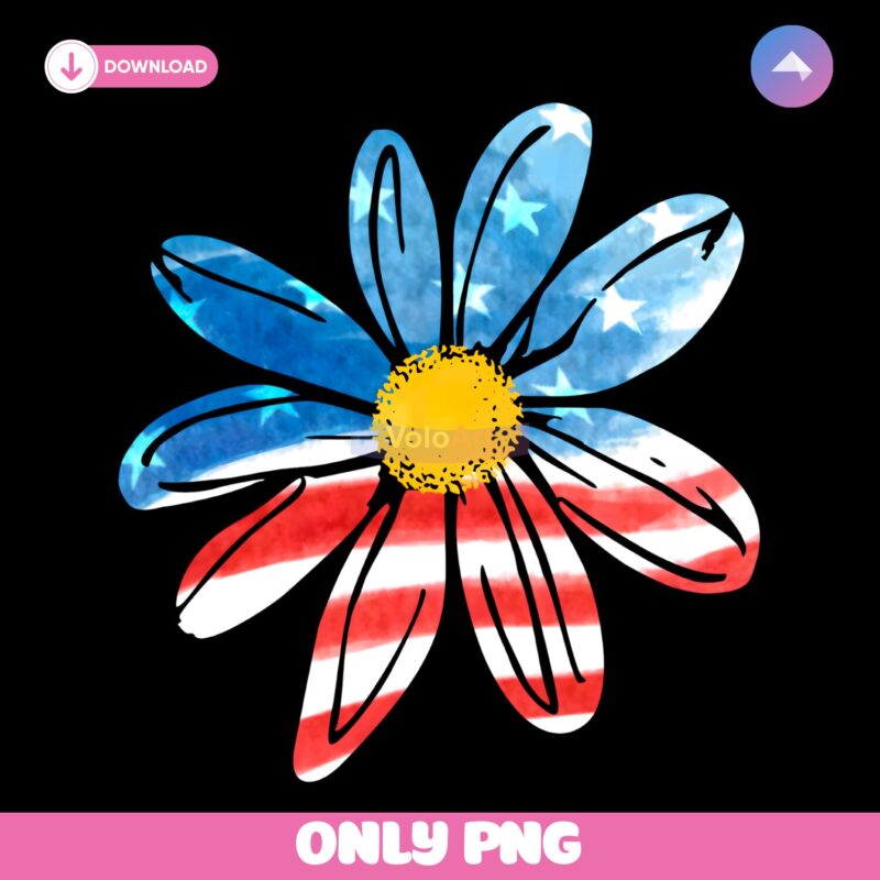 Vintage Daisy Wildflower Summer America Flag PNG