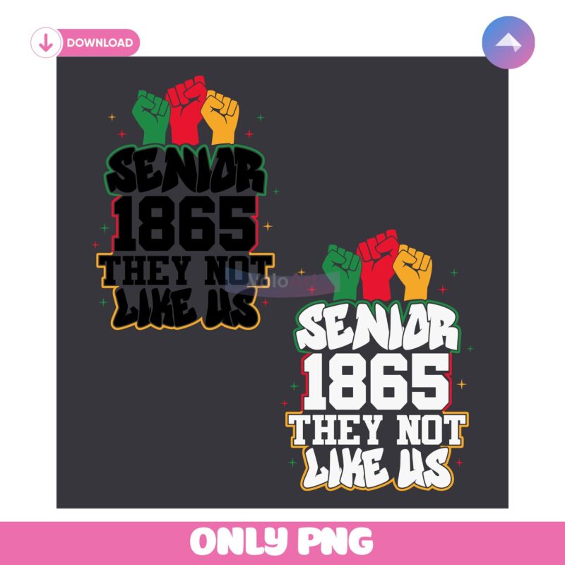 Senior 1865 They Not Like Us Juneteenth Black History Afro America PNG